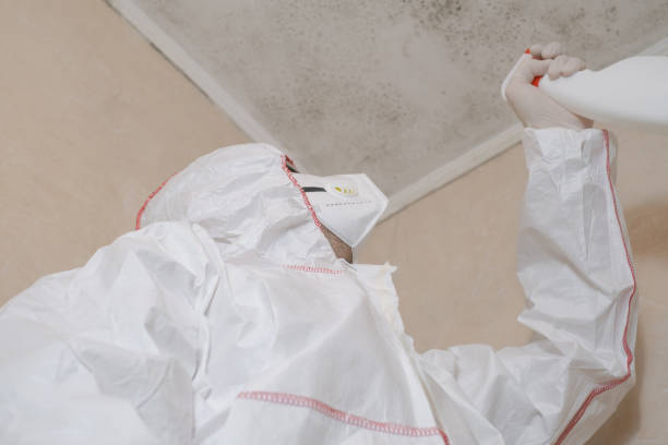 Best Mold Remediation for Specific Building Types in Hobart, WA